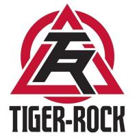  Tiger Rock Martial Arts image 1