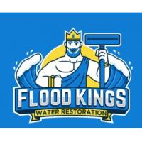 TN Flood Kings image 1