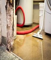 Water Damage Experts Of Fairfield image 1