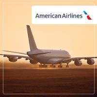 American Airlines image 1