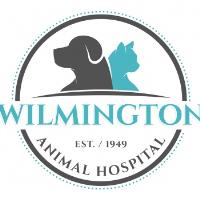 Wilmington Animal Hospital image 2