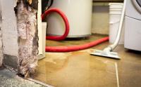 Sin City Water Damage Experts image 1