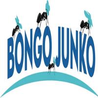 Bongo Junko - Junk Removal Conroe image 2