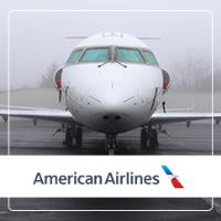 American Airlines image 1