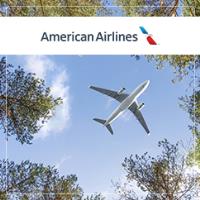 American Airlines image 4