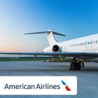 American Airlines image 1