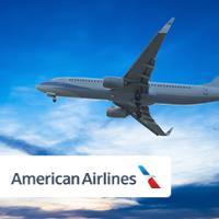 American Airlines image 3