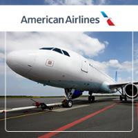 American Airlines image 3