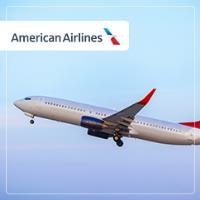 American Airlines image 1