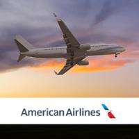 American Airlines image 4