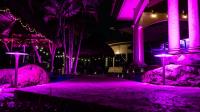 Outdoor Lighting Concepts Fort Lauderdale image 7