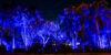 Outdoor Lighting Concepts Fort Lauderdale image 9