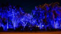 Outdoor Lighting Concepts Fort Lauderdale image 8