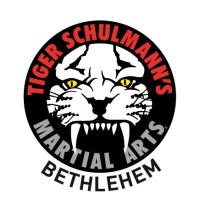 Tiger Schulmann's Martial Arts (Bethlehem, PA) image 1