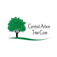 Central Arbor Tree Care image 1