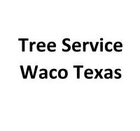 Tree Service Waco Texas image 4