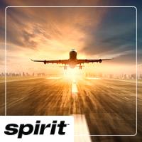 Spirit Airlines image 1