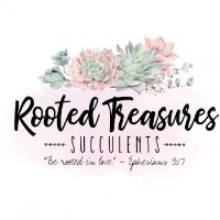 Rooted Treasures Succulents image 1
