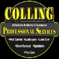 Colling Professional Services image 1