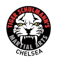 Tiger Schulmann's Martial Arts (Chelsea, NY) image 1
