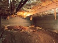 Plant City Crawl Space Repair image 3