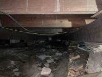 Plant City Crawl Space Repair image 4