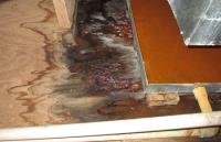 Water Damage Experts of Music CIty image 1