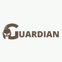Guardian Windshield Repair image 6
