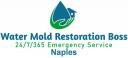 Water Mold Restoration Boss of Naples logo
