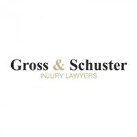 Gross & Schuster, P.A. image 1