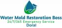 Water Mold Restoration Boss of Doral logo