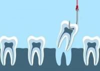 Arlington Dental Excellence image 24