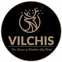 Vilchis Tree Service of Peachtree City North image 1