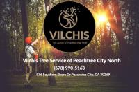 Vilchis Tree Service of Peachtree City North image 2