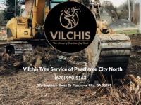 Vilchis Tree Service of Peachtree City North image 3