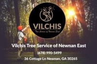 Vilchis Tree Service of Newnan East image 2