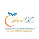 Repipe OC logo