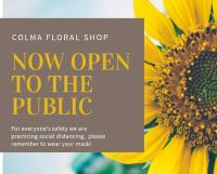 Colma Floral Shop image 3