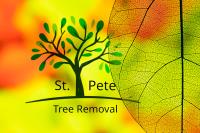 St. Petersburg Tree Removal image 1