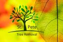 St. Petersburg Tree Removal logo