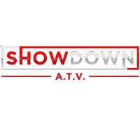 Showdown A.T.V. Rentals image 5