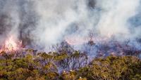 Celery City Smoke Damage Experts image 1