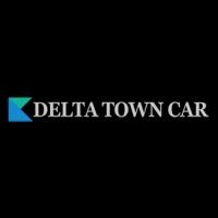 Delta Town Car image 1