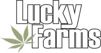 Lucky Farms image 1