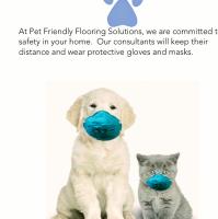 Pet Friendly Flooring Solutions image 2