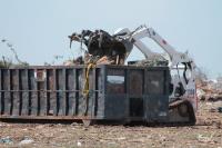 Dumpster Rental Buffalo image 2