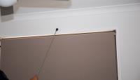 Davenport Termite Removal Experts image 2