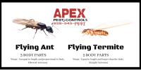 Apex Pest Control WNC image 3