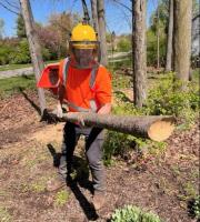 Log Masters Tree Service image 2