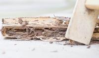 Quiet Resorts Termite Removal Experts image 1